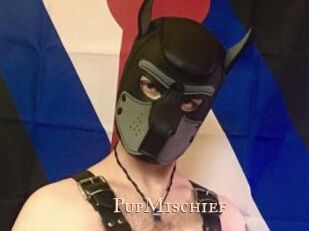 PupMischief