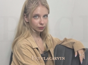 Petulacarvin