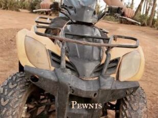 Pewnis