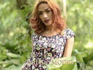 PhilH0TMODEL