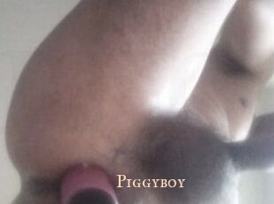Piggyboy