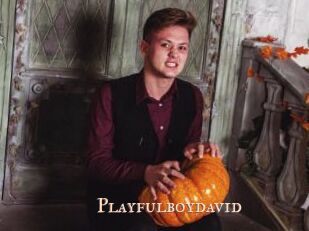 Playfulboydavid