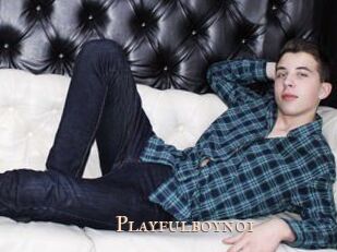 Playfulboynoi