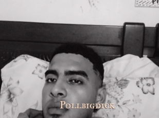 Pollbigdick