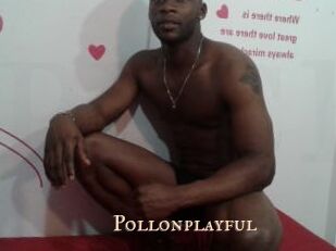 Pollonplayful