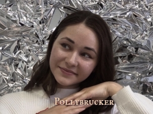 Pollybrucker