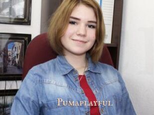 Pumaplayful