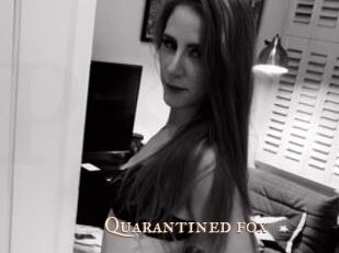 Quarantined_fox