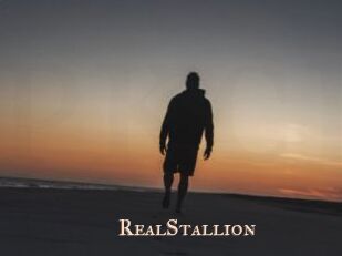 RealStallion