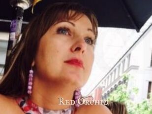 Red_Orchid