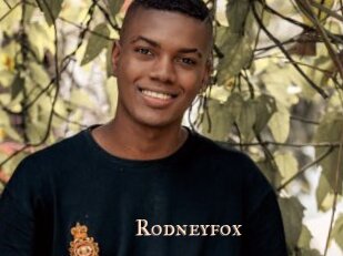 Rodneyfox