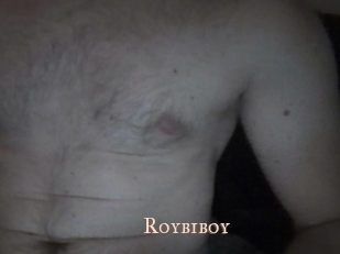 Roybiboy