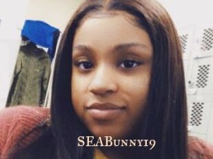 SEABunny19