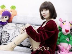 SandyJun