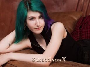 SandySnowX