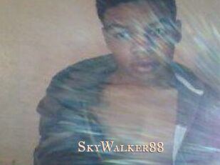 SkyWalker88