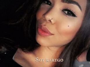 Soy_karygo