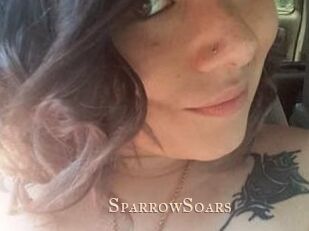 SparrowSoars