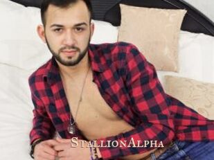 StallionAlpha