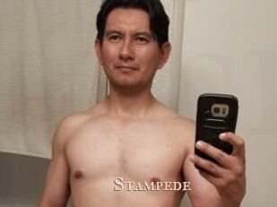 Stampede