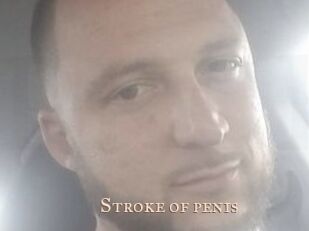 Stroke_of_penis