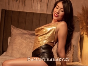 samanthaharvey Pink Center Fold