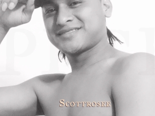 Scottrosee