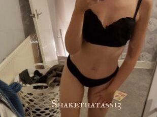Shakethatass13