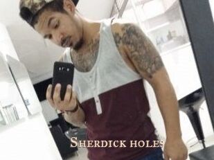 Sherdick_holes