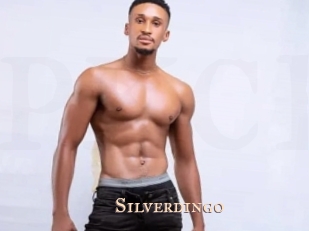 Silverdingo