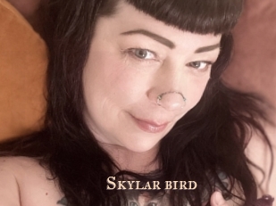 Skylar_bird