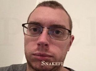 Snakefl