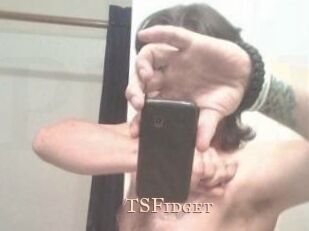 TSFidget