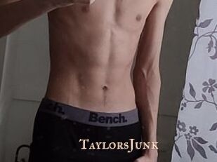 TaylorsJunk