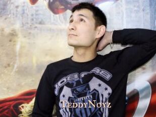 TeddyNoyz