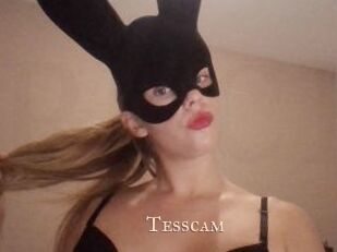 Tesscam