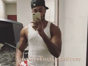 ThatGuyThatLikesStuff