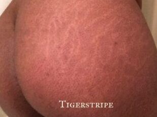 Tigerstripe