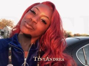 TinyAndrea