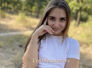 TinyGorgeous