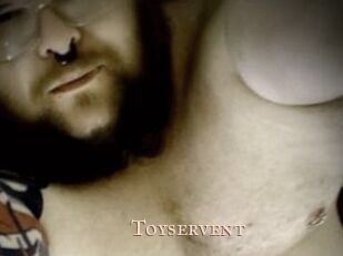 Toyservent