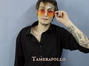 Tamerapollo