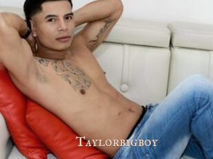 Taylorbigboy