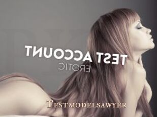 Testmodelsawyer