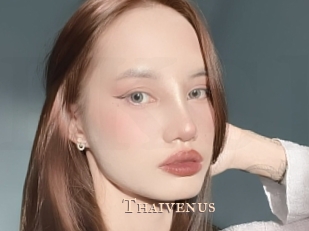 Thaivenus