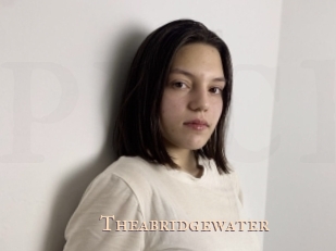 Theabridgewater