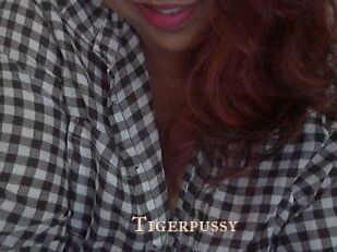 Tigerpussy