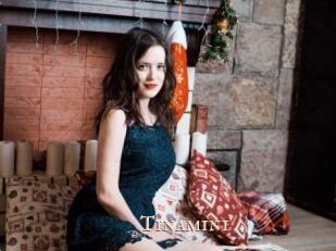 Tinamini