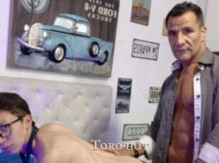 Toro_hot