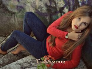 Torrymoor